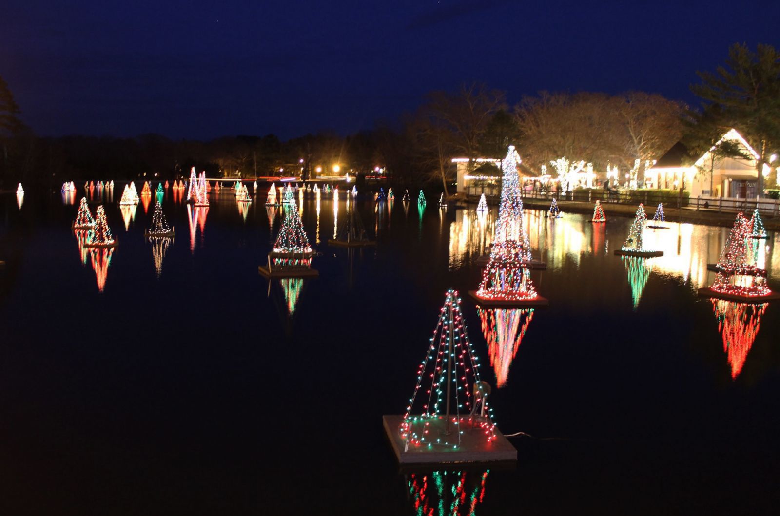holidayllightshow2